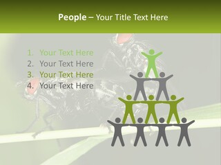 Building Architecture Architect PowerPoint Template