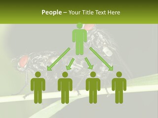 Building Architecture Architect PowerPoint Template