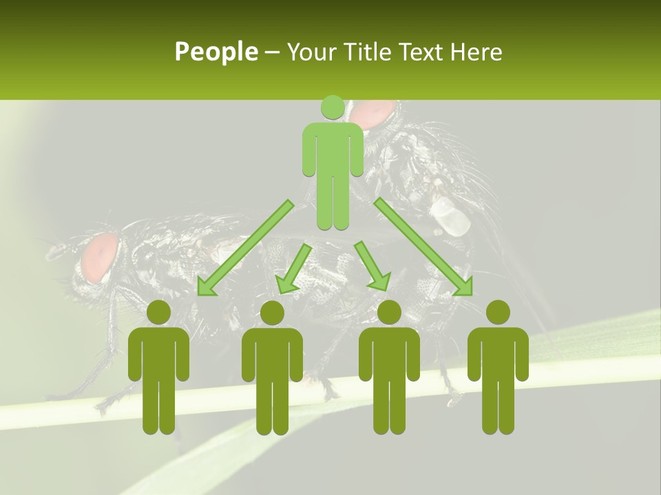 Building Architecture Architect PowerPoint Template