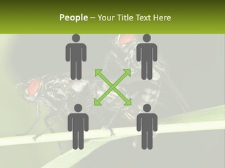 Building Architecture Architect PowerPoint Template