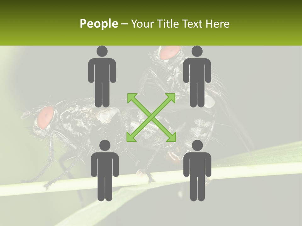 Building Architecture Architect PowerPoint Template