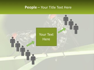 Building Architecture Architect PowerPoint Template