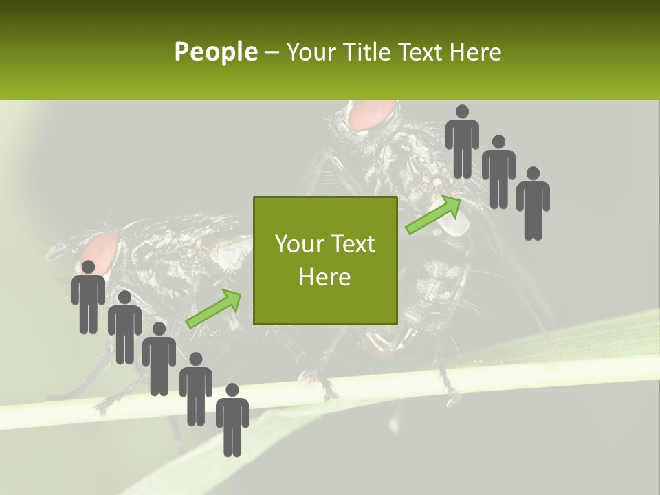 Building Architecture Architect PowerPoint Template