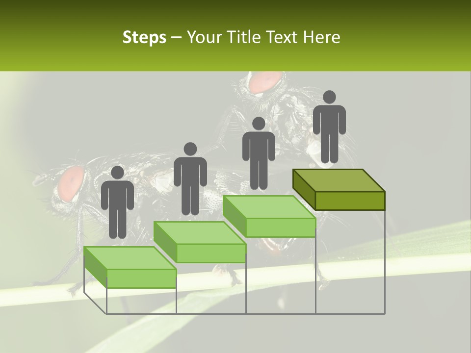 Building Architecture Architect PowerPoint Template