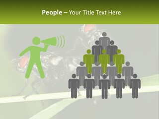 Building Architecture Architect PowerPoint Template