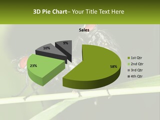 Building Architecture Architect PowerPoint Template