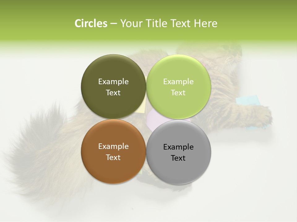 Environment Architecture Concept PowerPoint Template