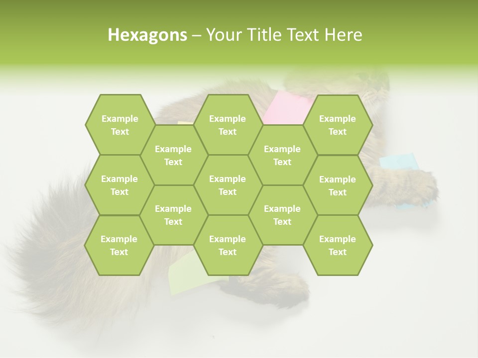 Environment Architecture Concept PowerPoint Template