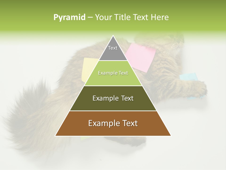 Environment Architecture Concept PowerPoint Template