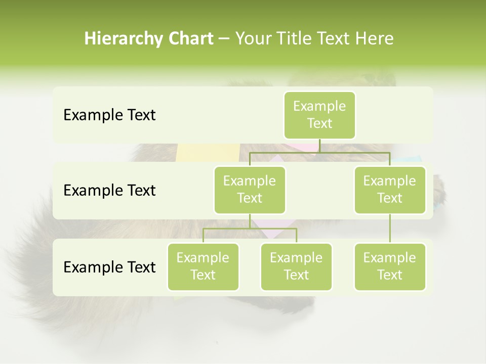 Environment Architecture Concept PowerPoint Template