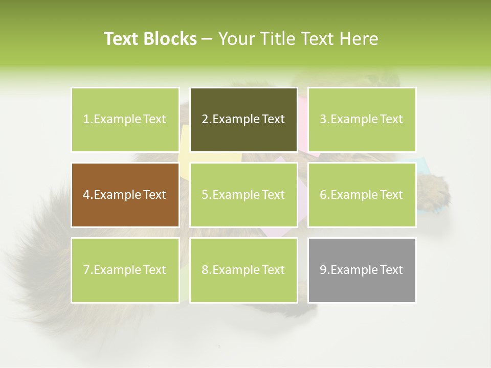 Environment Architecture Concept PowerPoint Template