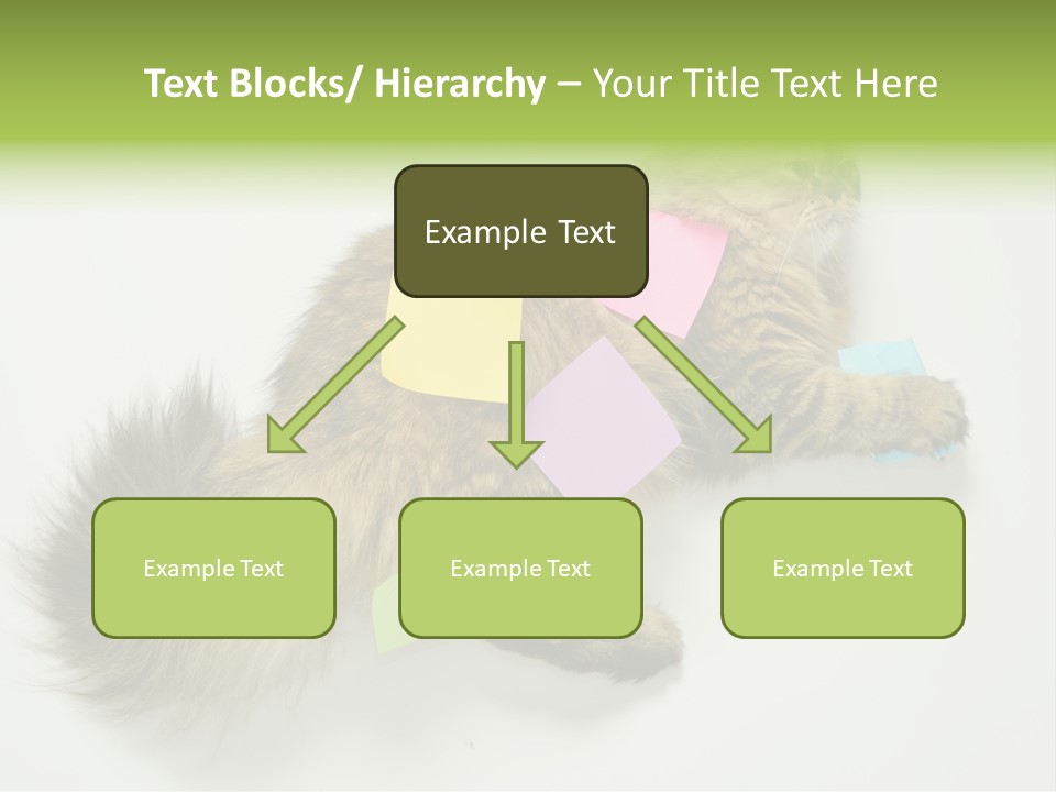 Environment Architecture Concept PowerPoint Template