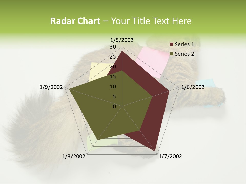 Environment Architecture Concept PowerPoint Template