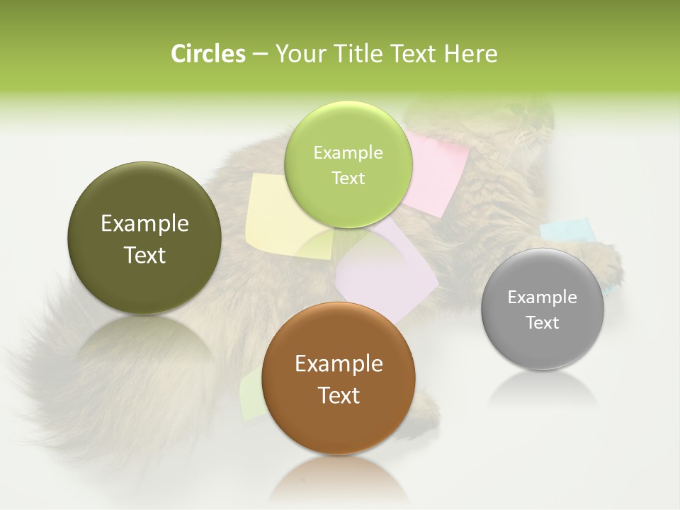 Environment Architecture Concept PowerPoint Template
