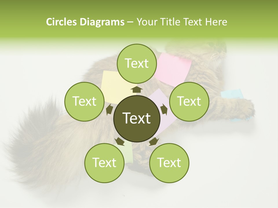 Environment Architecture Concept PowerPoint Template