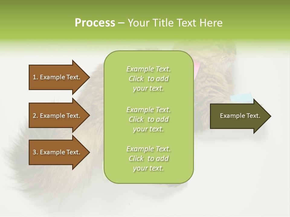 Environment Architecture Concept PowerPoint Template