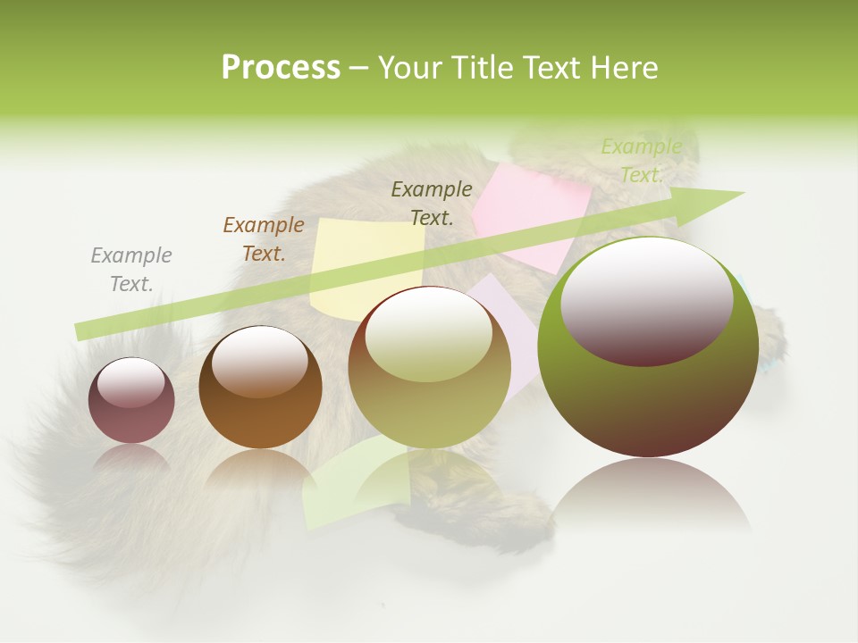 Environment Architecture Concept PowerPoint Template