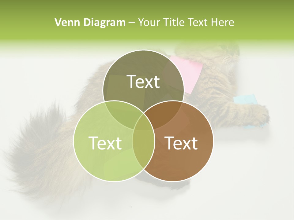 Environment Architecture Concept PowerPoint Template