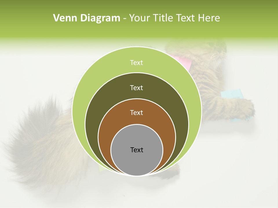 Environment Architecture Concept PowerPoint Template