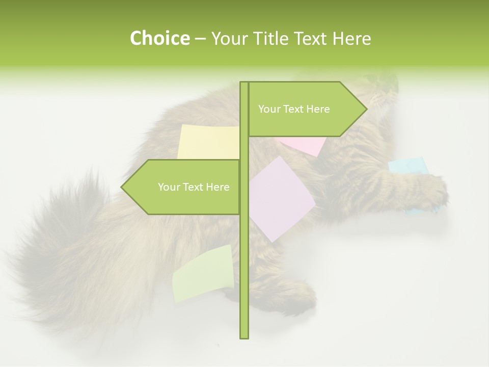 Environment Architecture Concept PowerPoint Template