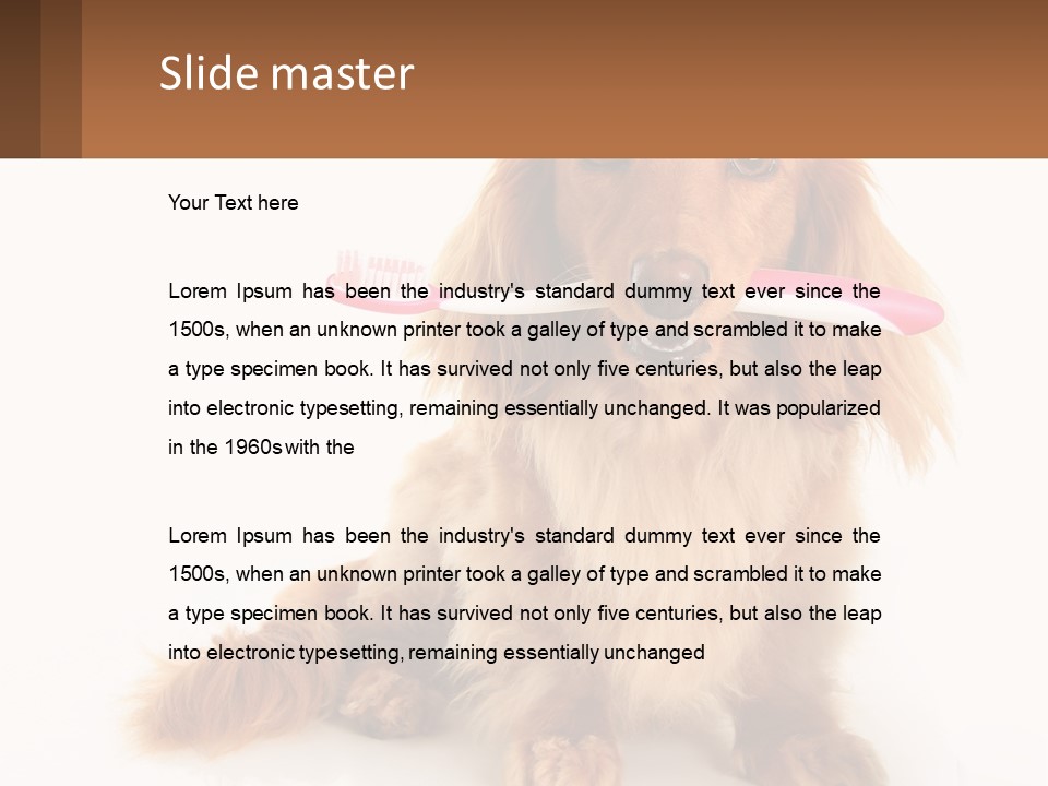 Globe Ball Illustration PowerPoint Template