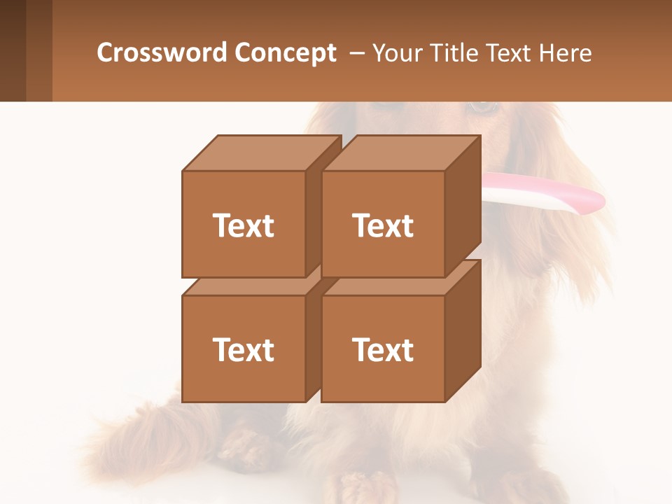 Globe Ball Illustration PowerPoint Template