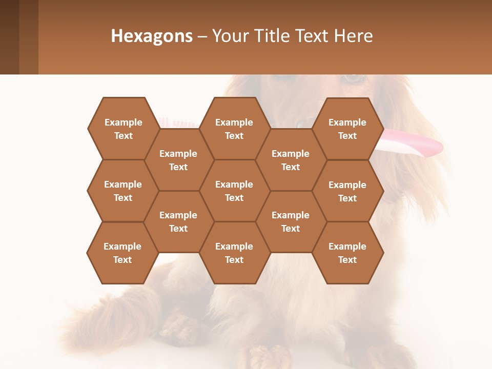 Globe Ball Illustration PowerPoint Template