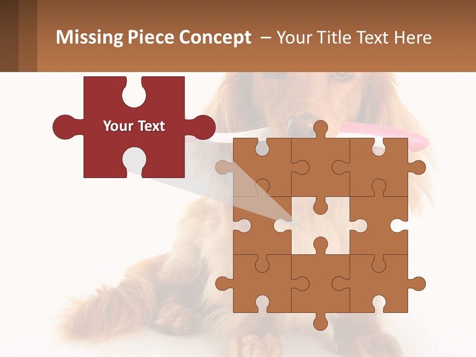 Globe Ball Illustration PowerPoint Template