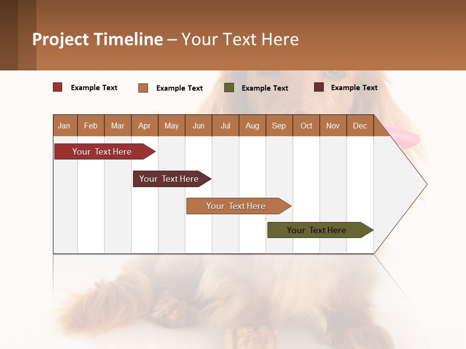 Globe Ball Illustration PowerPoint Template