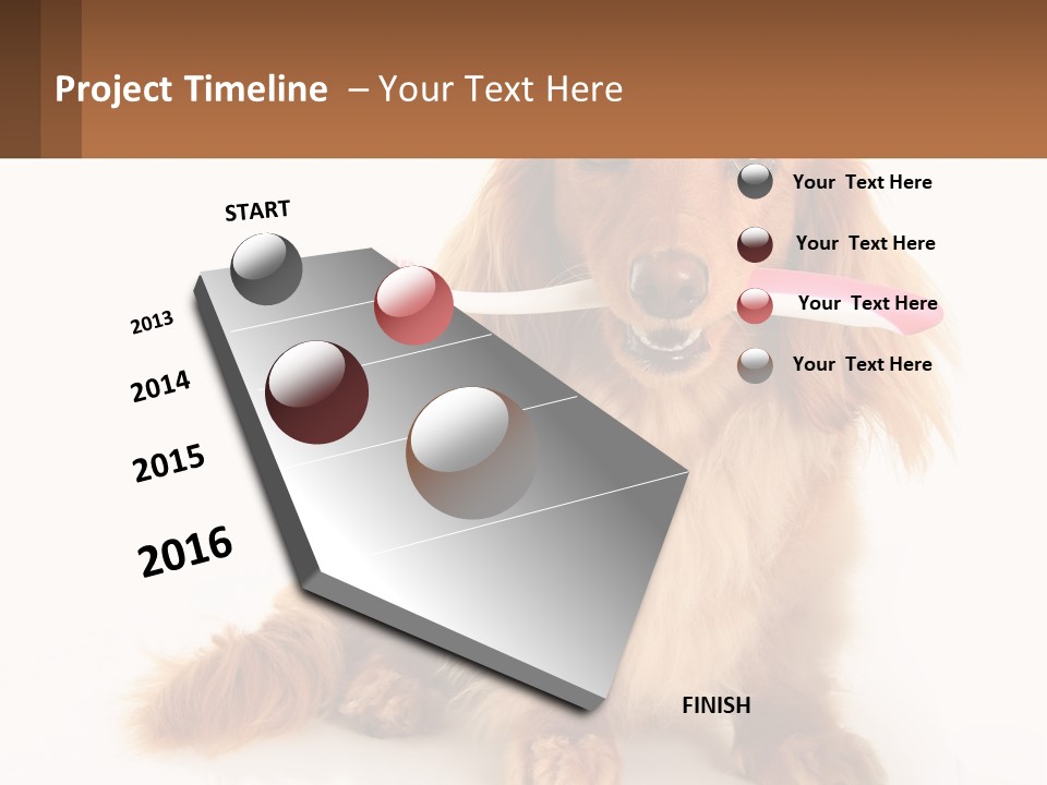 Globe Ball Illustration PowerPoint Template