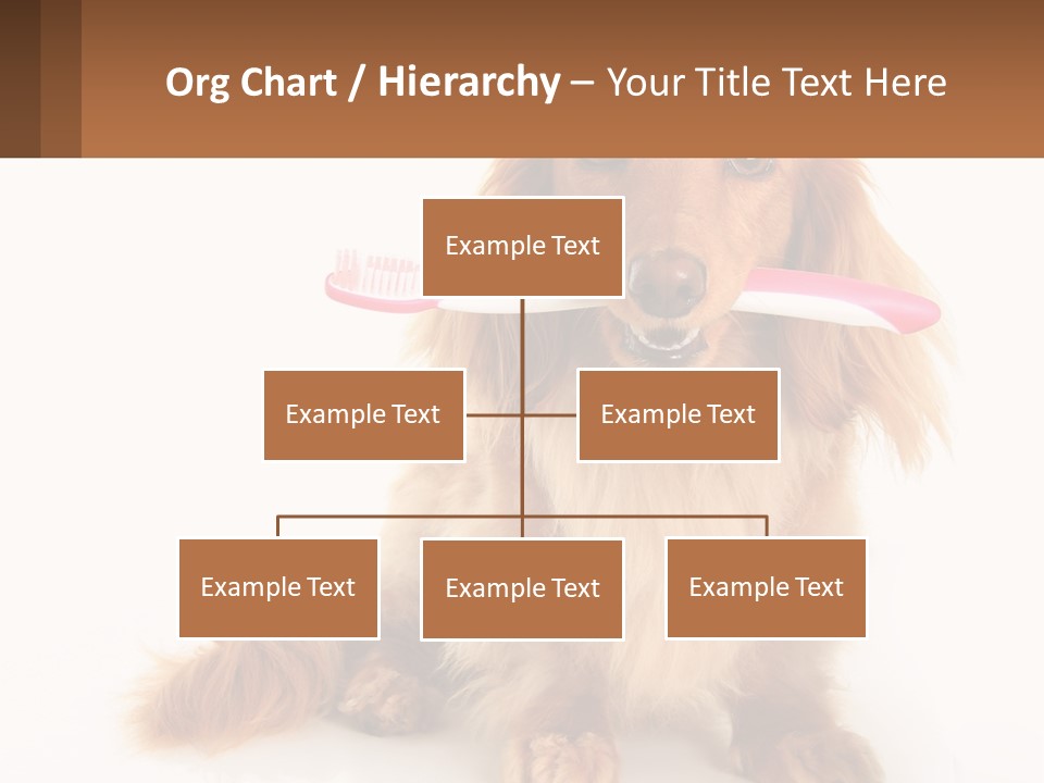 Globe Ball Illustration PowerPoint Template