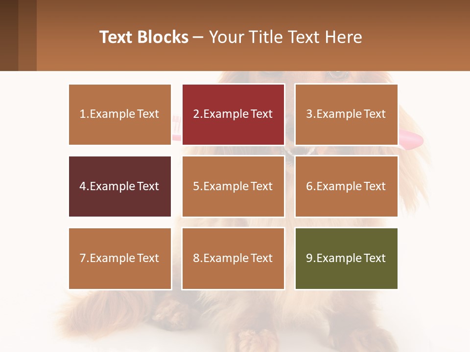 Globe Ball Illustration PowerPoint Template