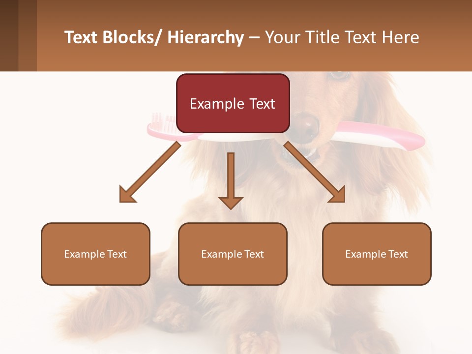 Globe Ball Illustration PowerPoint Template