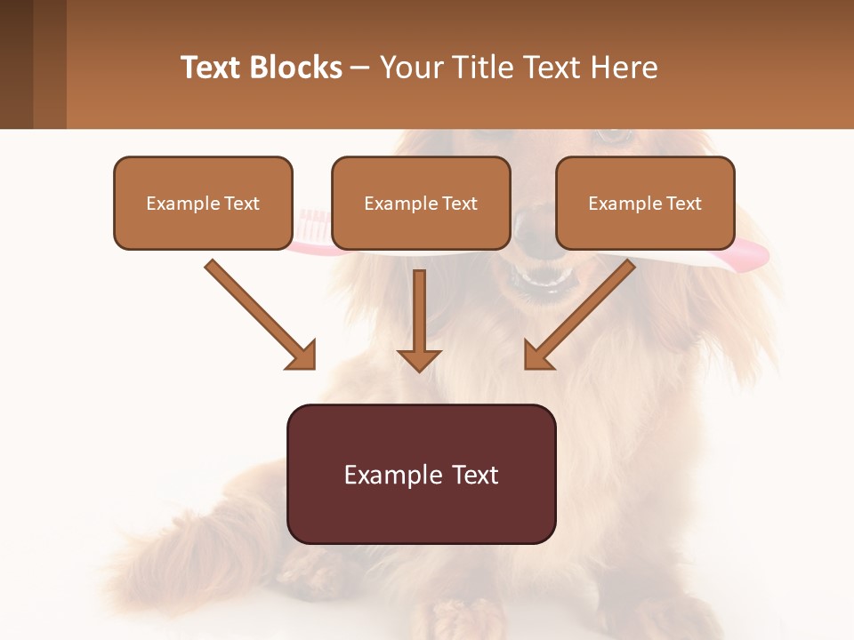 Globe Ball Illustration PowerPoint Template