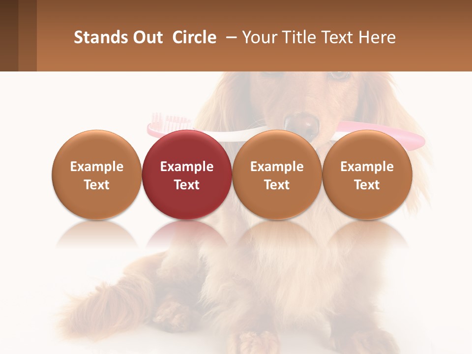 Globe Ball Illustration PowerPoint Template