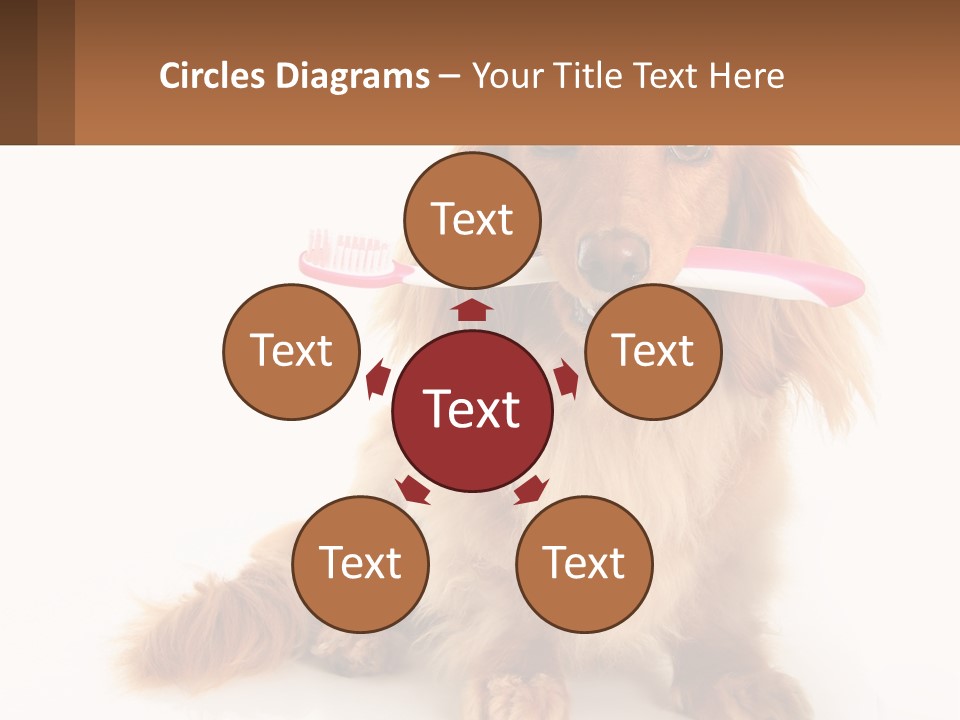 Globe Ball Illustration PowerPoint Template