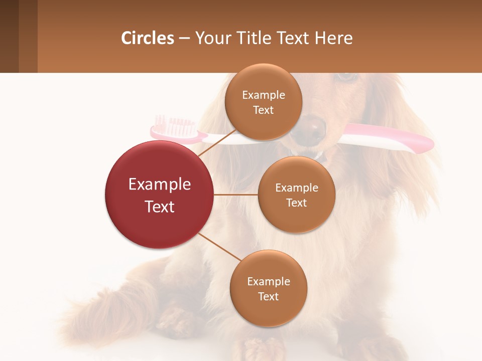 Globe Ball Illustration PowerPoint Template