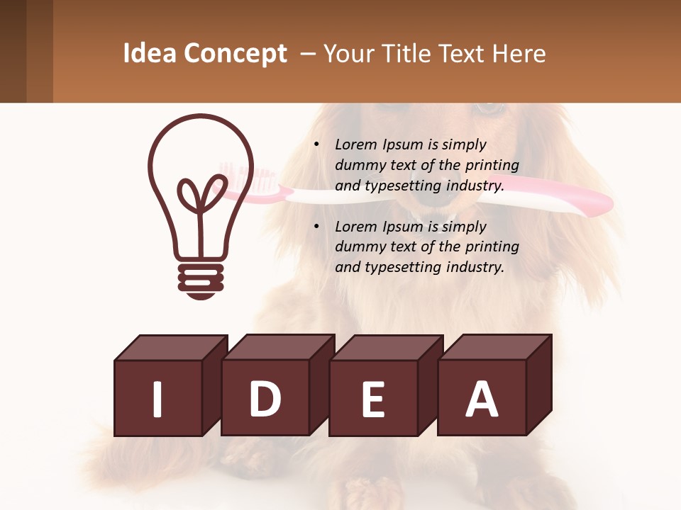 Globe Ball Illustration PowerPoint Template