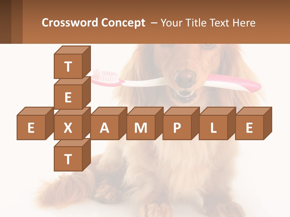 Globe Ball Illustration PowerPoint Template