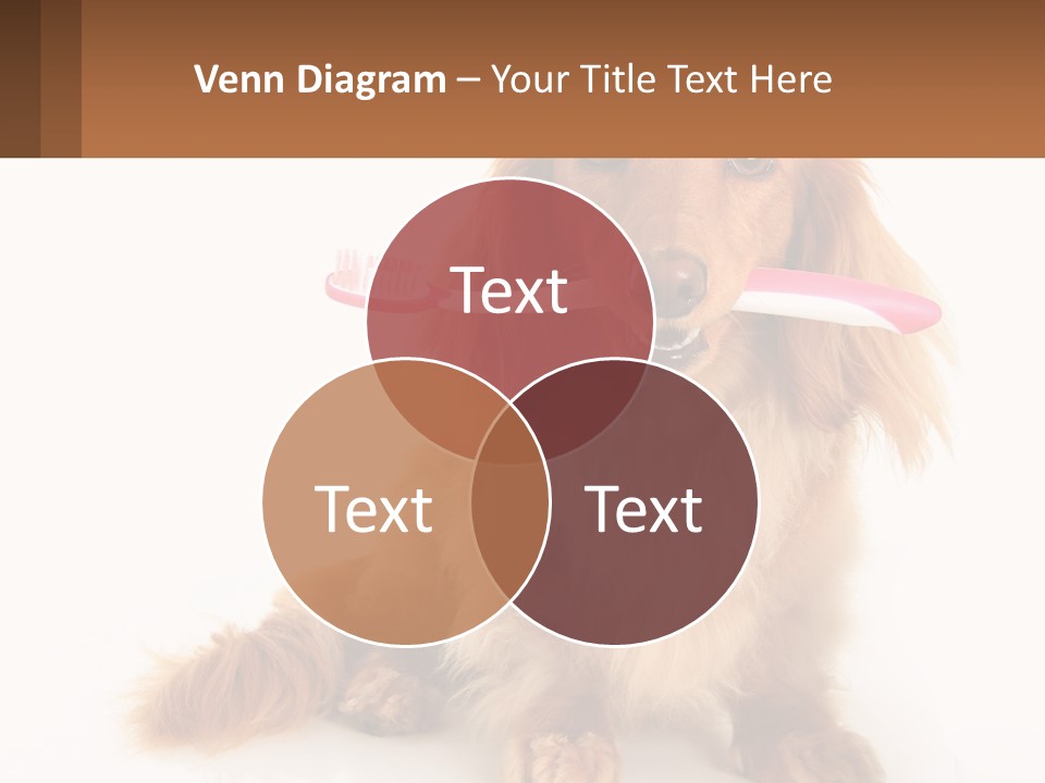 Globe Ball Illustration PowerPoint Template