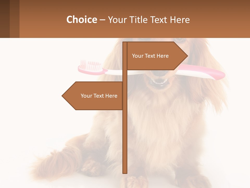 Globe Ball Illustration PowerPoint Template