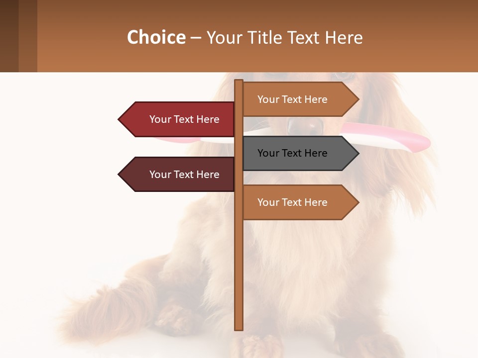 Globe Ball Illustration PowerPoint Template