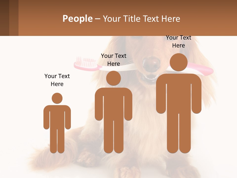 Globe Ball Illustration PowerPoint Template