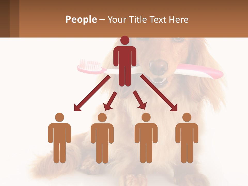 Globe Ball Illustration PowerPoint Template