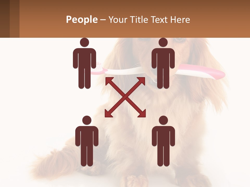 Globe Ball Illustration PowerPoint Template