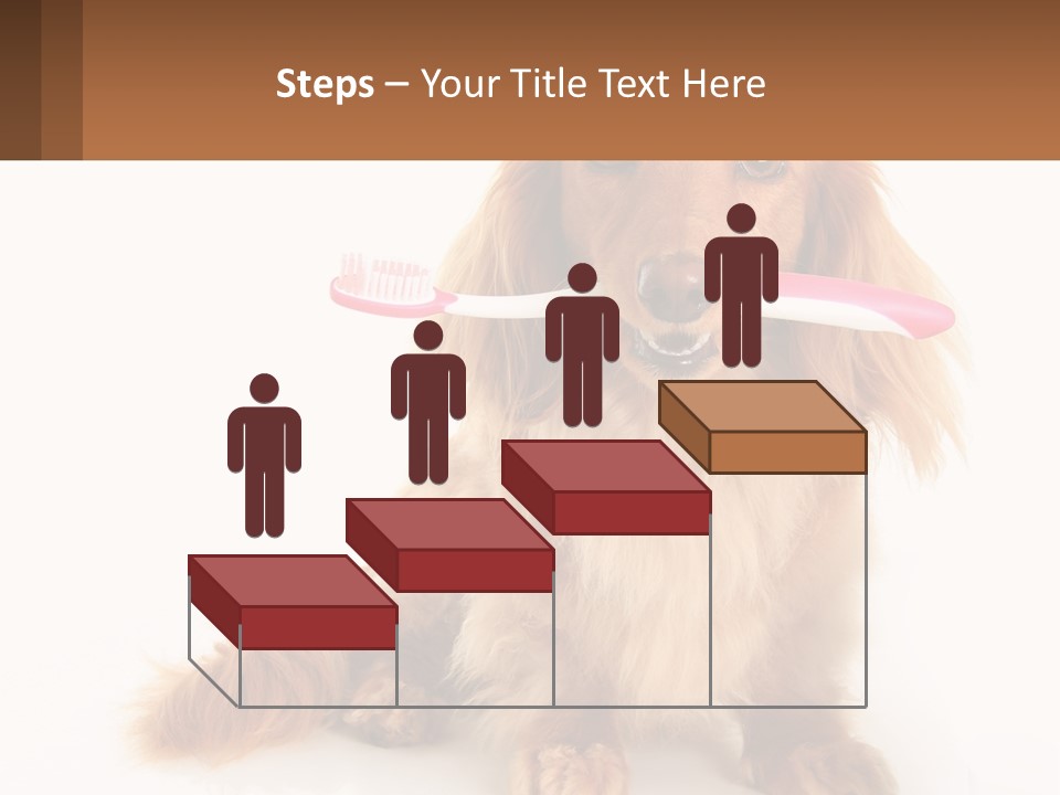 Globe Ball Illustration PowerPoint Template