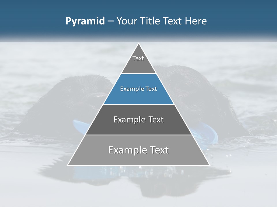 Architecture Globe Tall PowerPoint Template