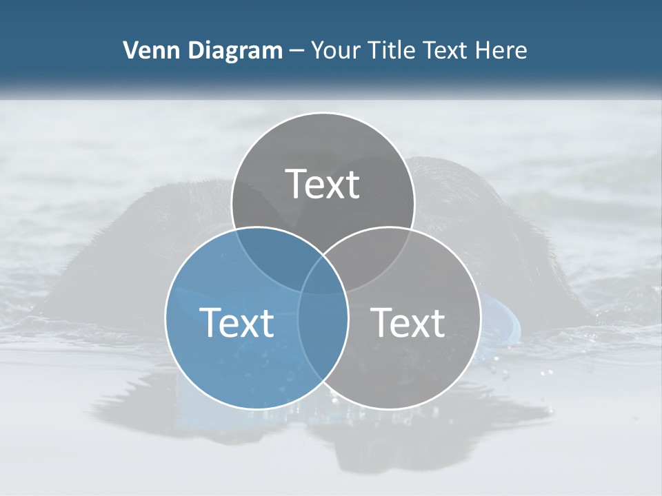 Architecture Globe Tall PowerPoint Template