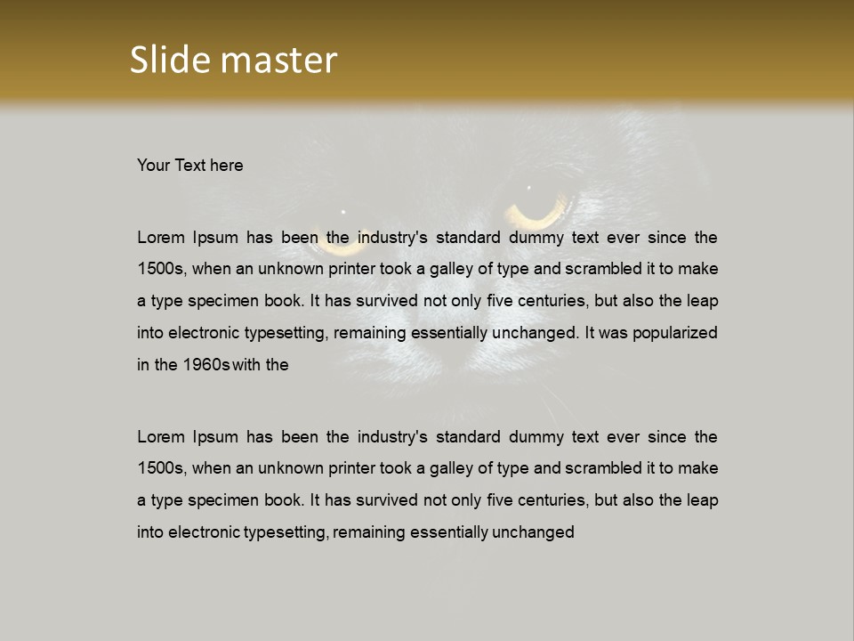 Square Urban Modern PowerPoint Template