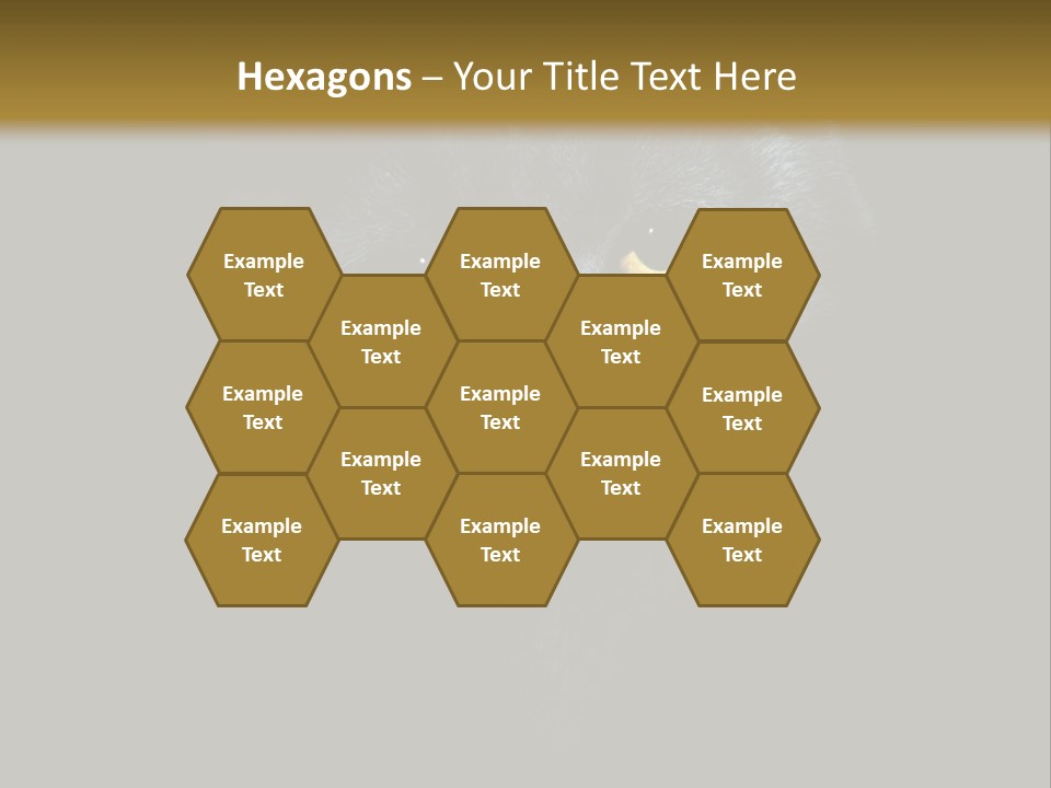 Square Urban Modern PowerPoint Template